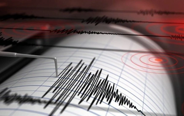 Hindistan'da güçlü deprem oldu