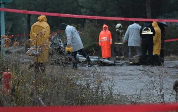 Bursa'da 2 pilotun öldüğü uçak kazasında 3 kişi kusurlu bulundu