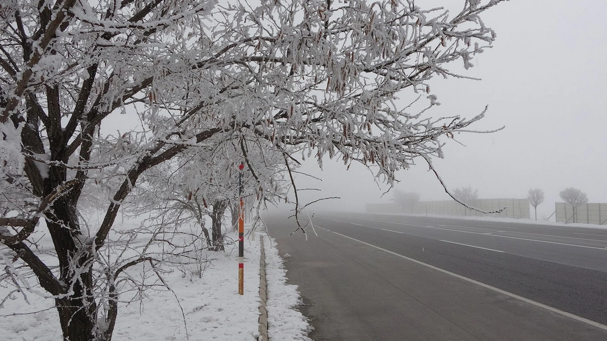 Bitlis dondu: Hava sıcaklığı eksi 13,8 dereceyi gördü