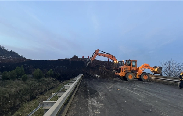 Artvin'de heyelan: Karadeniz Sahil Yolu ulaşıma kapandı