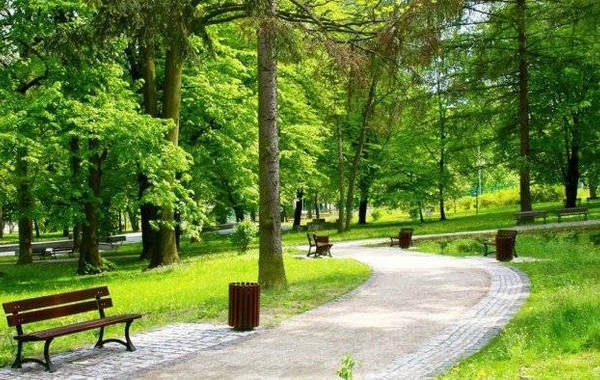 Azad edilmiş ərazilərdə yeni milli park yaradılacaq