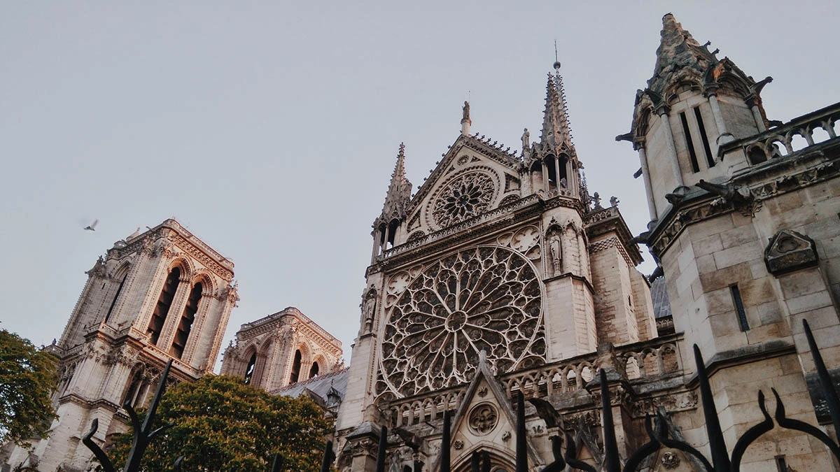 Notre Dame Katedrali'nin restorasyonunda 460 ton tehlikeli madde kullanıldı