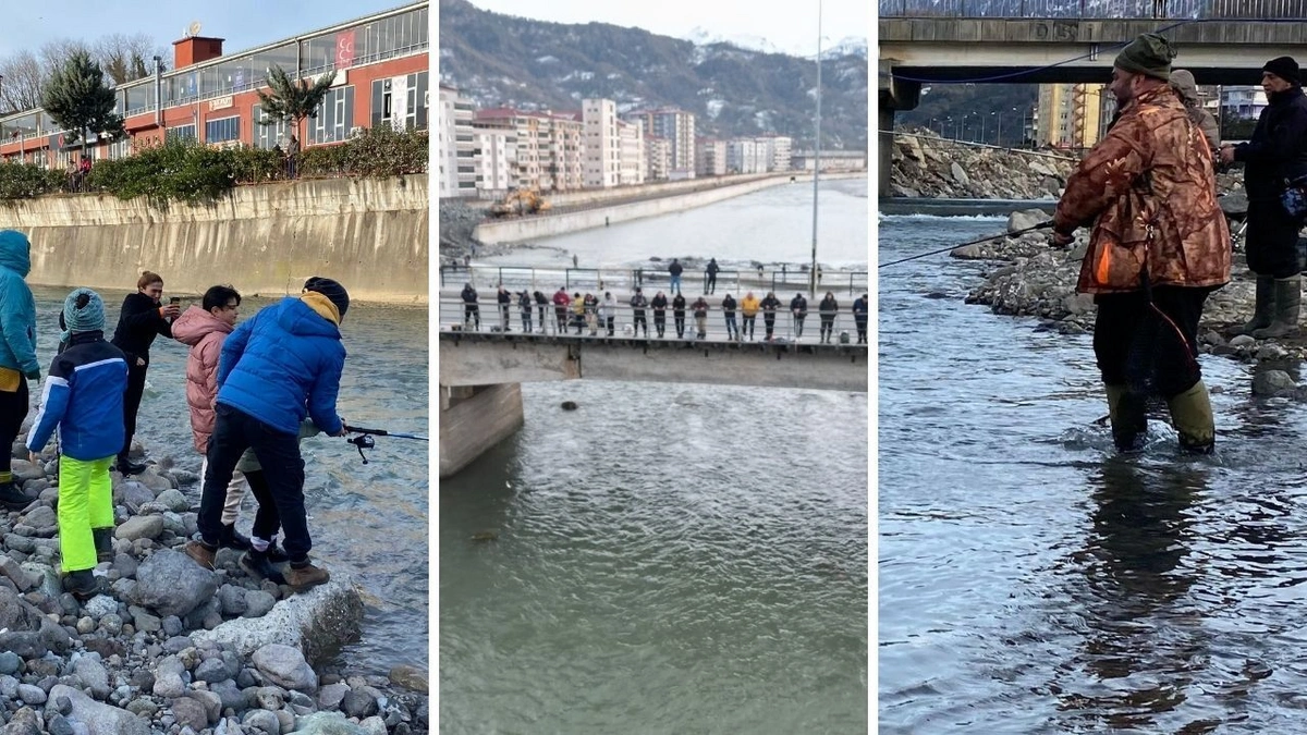 Fırtına somon kafesini parçaladı: Halk oltasını kapıp dereye akın etti