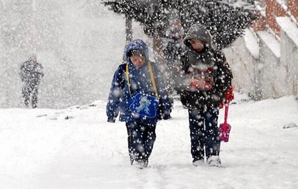 Ardahan'ın Posof ilçesinde eğitime kar engeli: Okullar tatil edildi