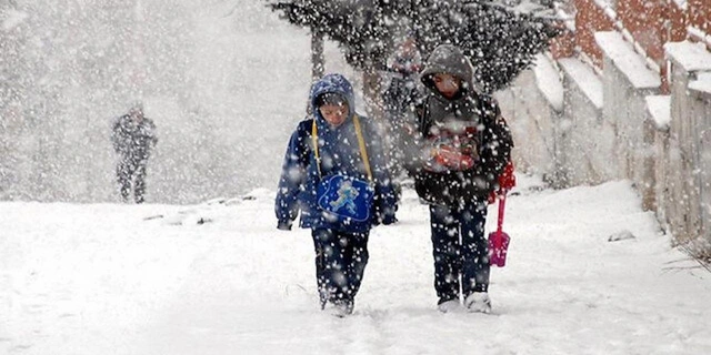 Ardahan'ın Posof ilçesinde eğitime kar engeli: Okullar tatil edildi