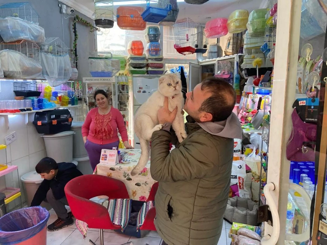 Petshop'ta cins kediyi montunun içine gizleyip çaldı