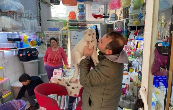 Petshop'ta cins kediyi montunun içine gizleyip çaldı