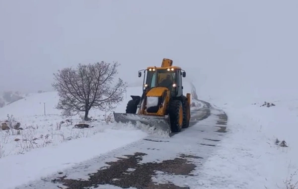 Tunceli'de hayat dondu: Kar nedeniyle 40 köy yolu ulaşıma kapandı