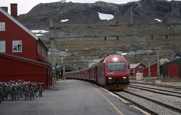 Norveç'te tren seferleri tamamen durduruldu