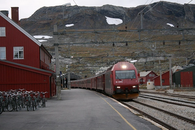 Norveç'te tren seferleri tamamen durduruldu