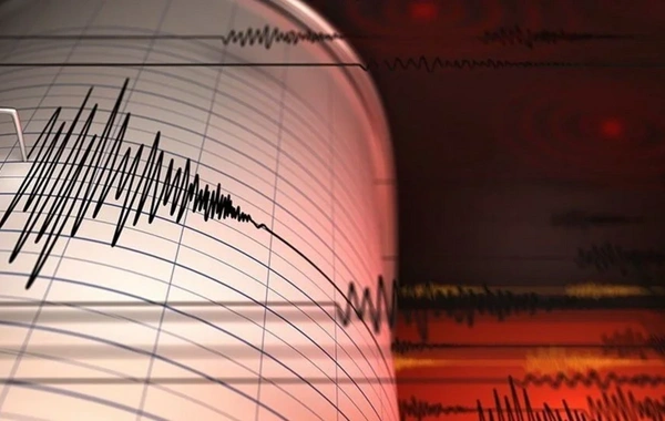 Ege'de sarsıntı: 4,5 büyüklüğünde deprem meydana geldi