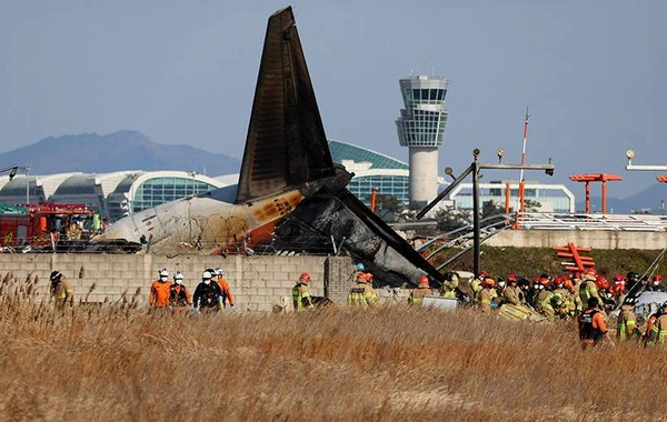 Глава Jeju Air: У разбившегося в Южной Корее самолета не было неполадок до крушения