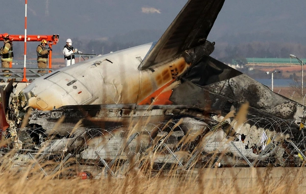 СМИ: Пассажир самолета Jeju Air отправил сообщение родственнику за три минуты до катастрофы