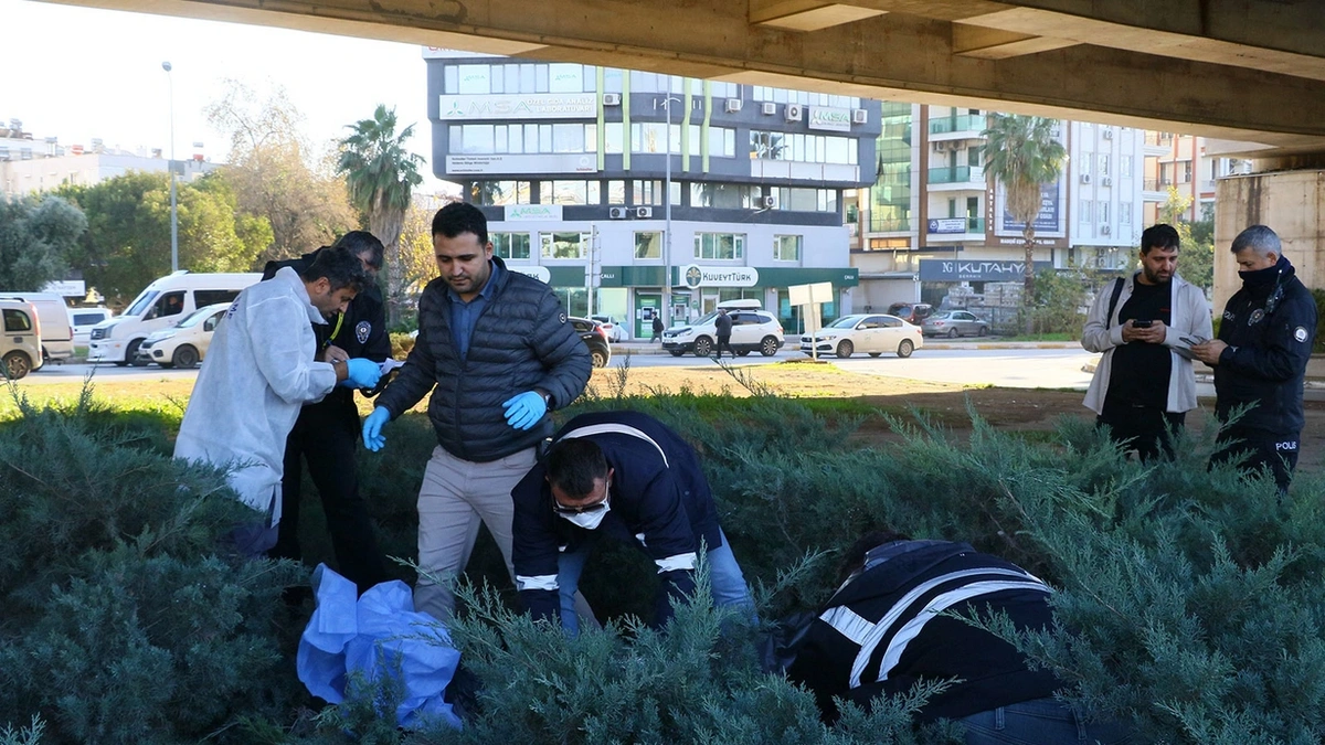 Antalya'da üst geçit altında korkunç keşif: 10 gündür ölüydü