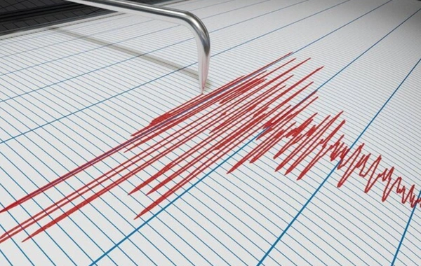 У побережья Сальвадора произошло сильное землетрясение