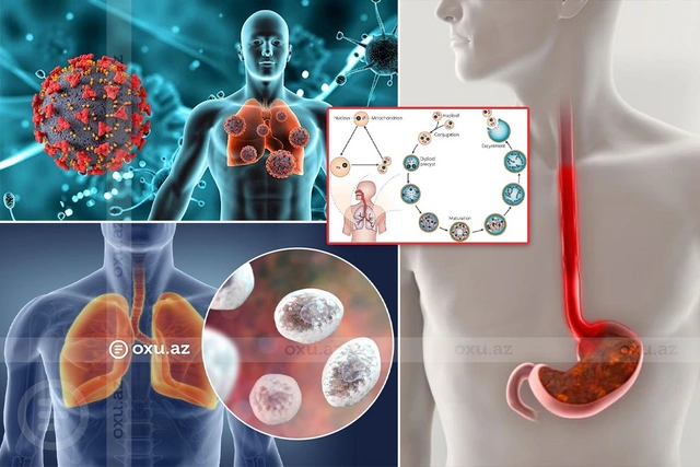 Qrip əlamətlərini paylaşan metapnevmovirus: Hədəfdə UŞAQLAR VAR