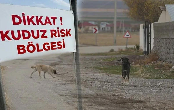 Hatay'da kuduz paniği: Mahalle karantinaya alındı