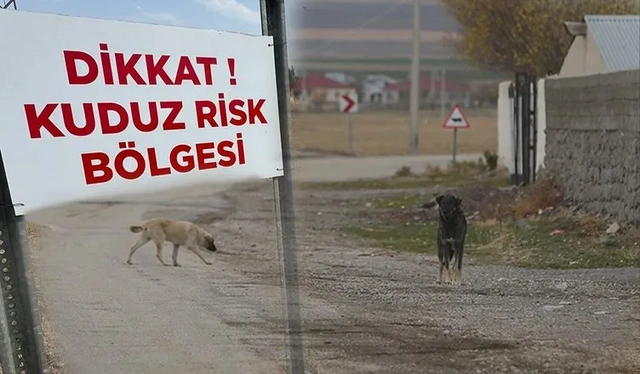 Hatay'da kuduz paniği: Mahalle karantinaya alındı