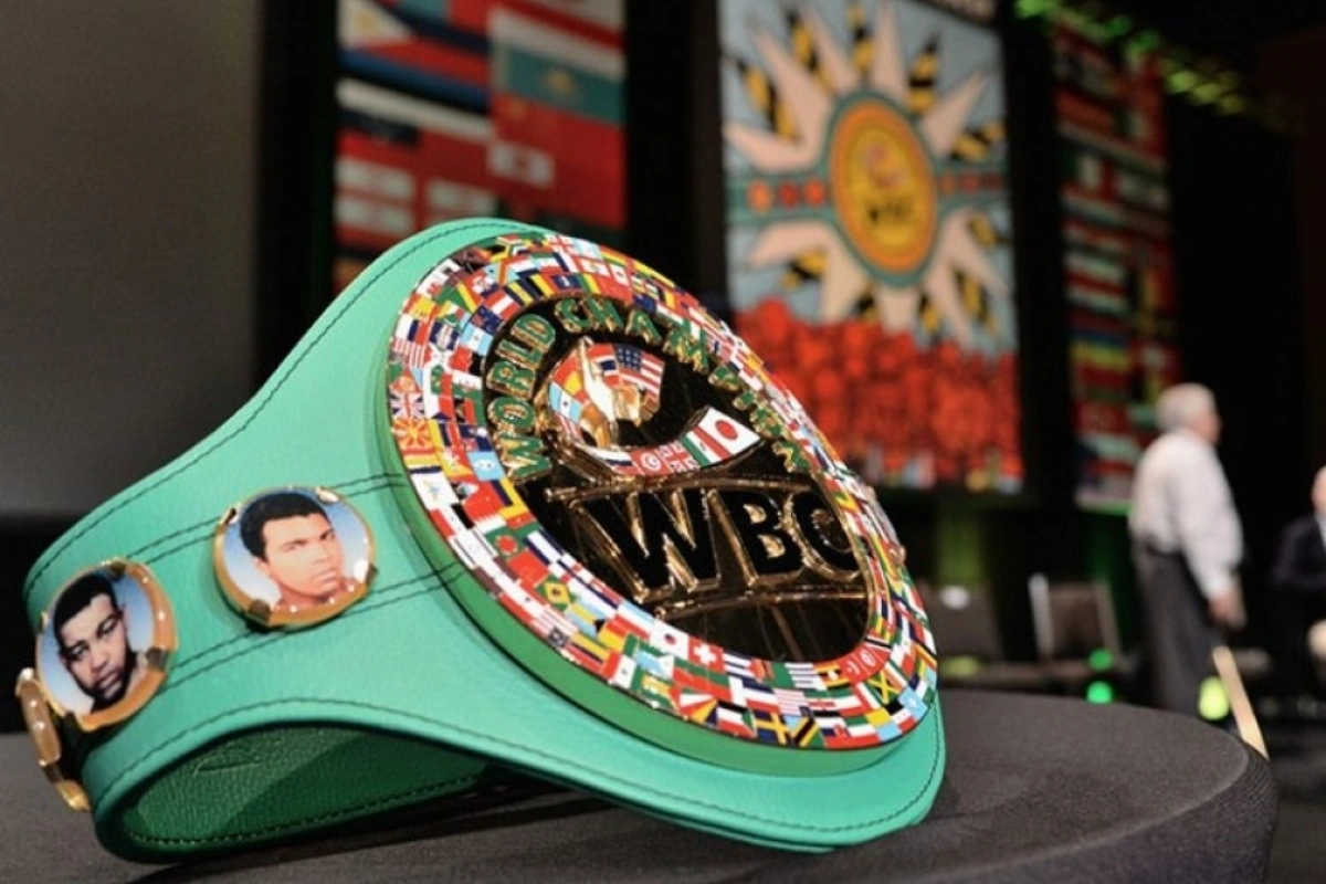 WBC назвал лучших боксеров 2024 года