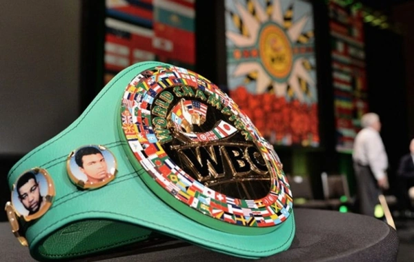 WBC назвал лучших боксеров 2024 года