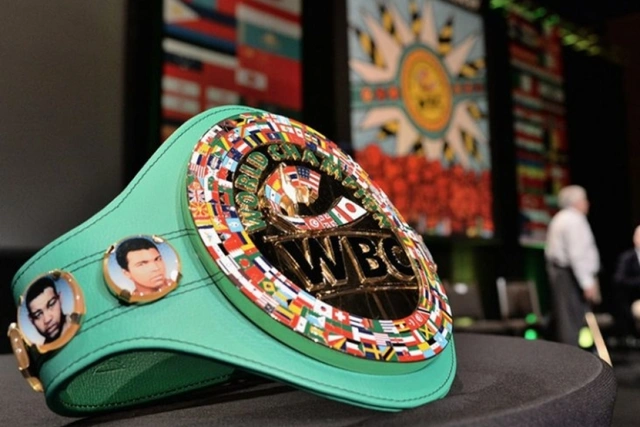 WBC назвал лучших боксеров 2024 года