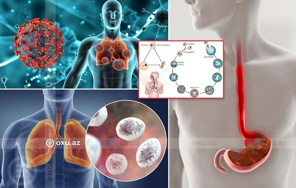 Yeni virus COVID-dən daha təhlükəlidir? - Mütəxəssis izah edir