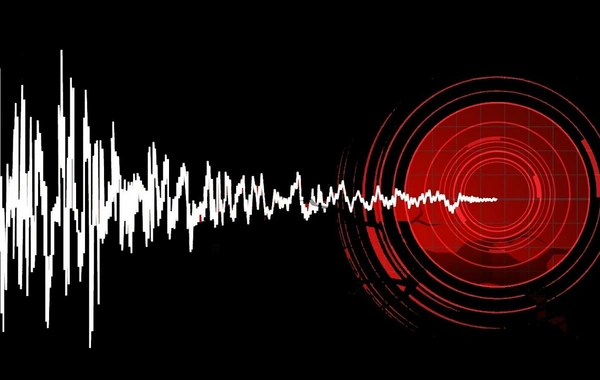 Meksika'da güçlü deprem meydana geldi