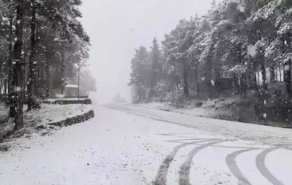 Meteoroloji'den kar müjdesi: İşte kar yağacak şehirler