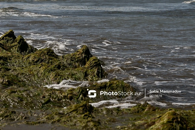 Стало известно, кто будет реализовывать проект по опреснению морской воды в Азербайджане