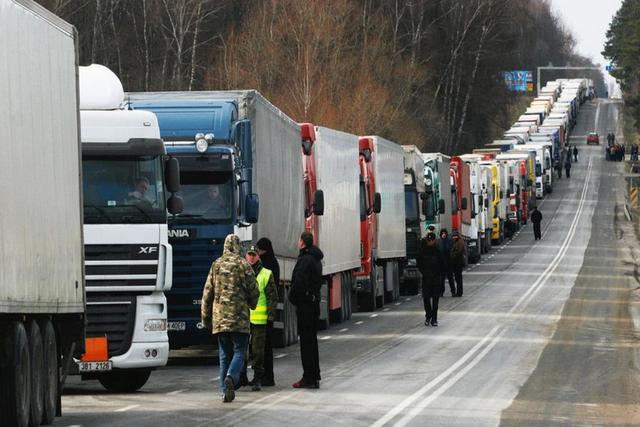 Свыше тысячи фур застряли на границе России и Грузии