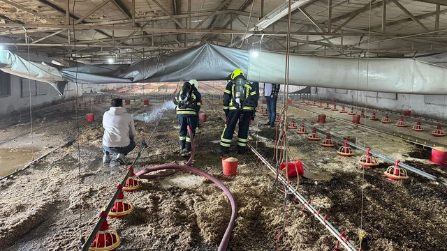 Mersin'de boş tavuk üretim merkezinde yangın çıktı