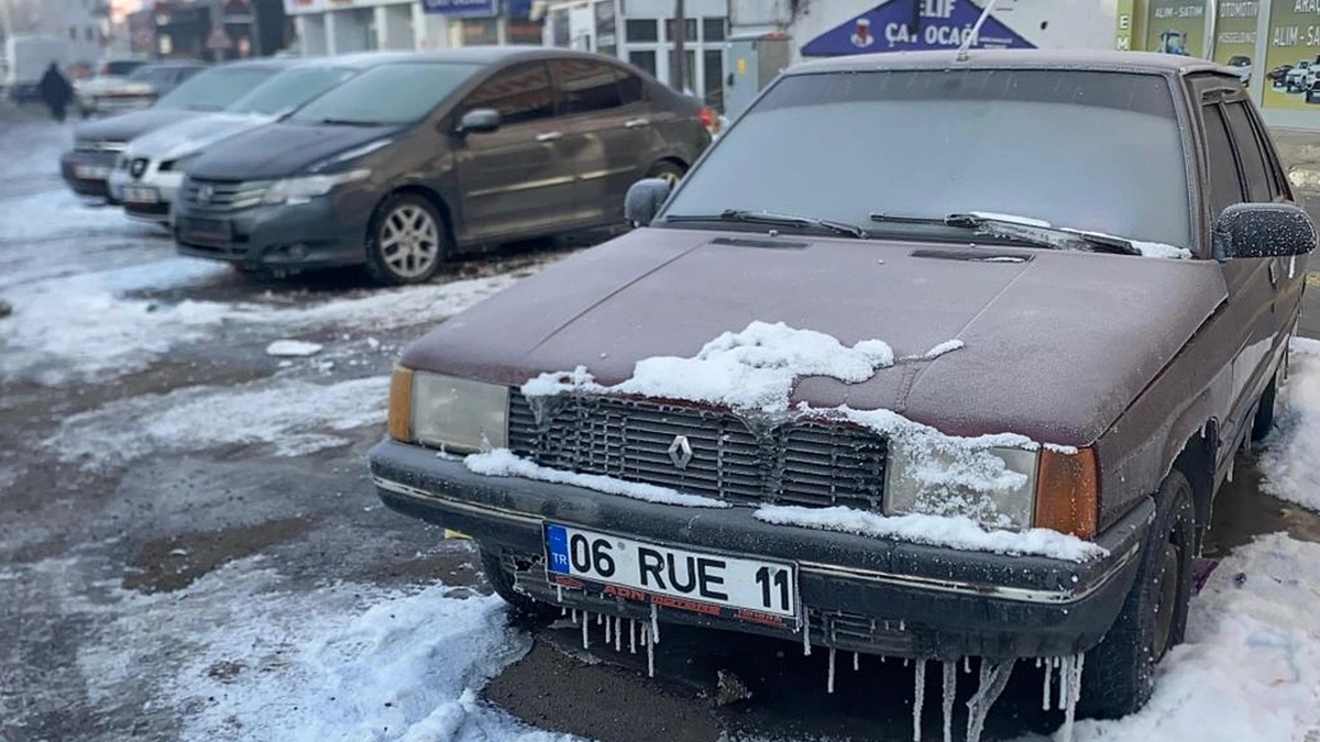 Türkiye'nin doğusu buz tuttu