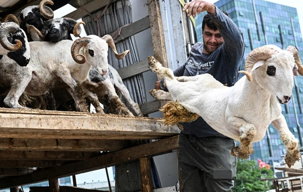 Kurban Bayramı ne zaman, hangi günler? 2025 dini günler takvimi ile tatil günleri belli oldu