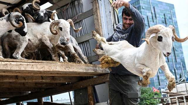 Kurban Bayramı ne zaman, hangi günler? 2025 dini günler takvimi ile tatil günleri belli oldu