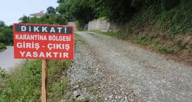 Pertek'te şap alarmı: 30 günlük karantina başladı