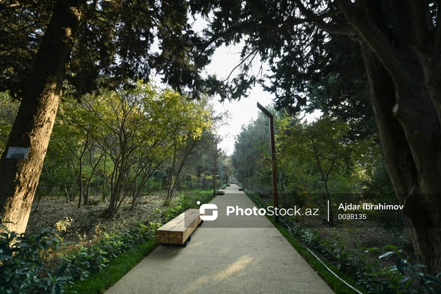 Bakıda iki böyük park istifadəyə veriləcək