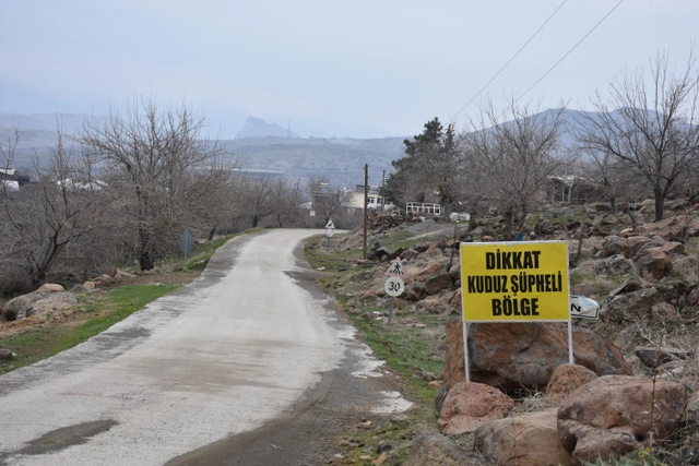 Şanlıurfa'da sokak köpeği dehşeti: 3 kişiyi ısırdı, kuduz çıktı!