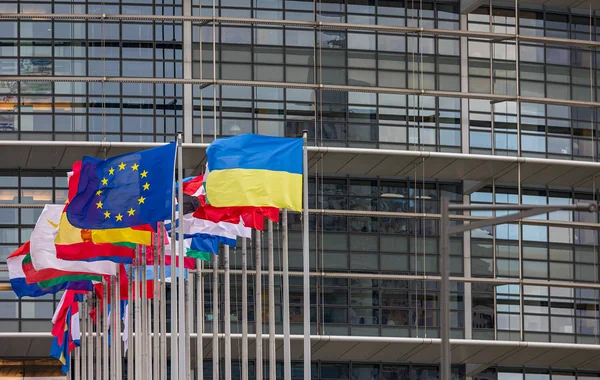Украина получит "особые условия" в одном вопросе по членству в ЕС